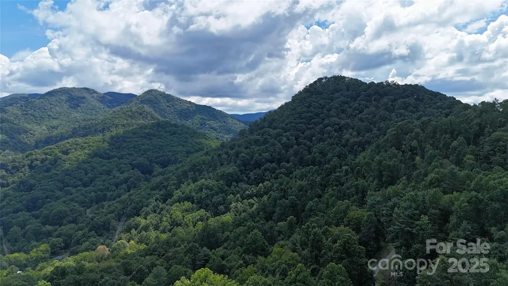 607 Rocky Top Trail Barnardsville, NC 28709