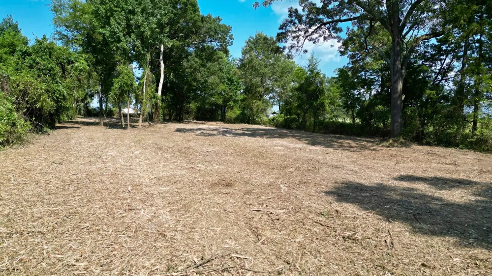 County Rd 3211 Pittsburg, TX 75686
