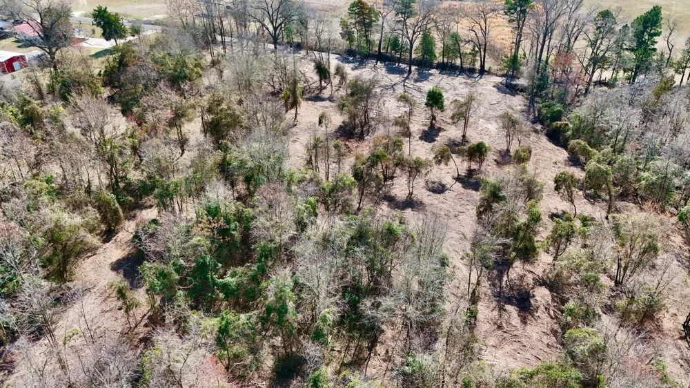 County Rd 3211 Pittsburg, TX 75686