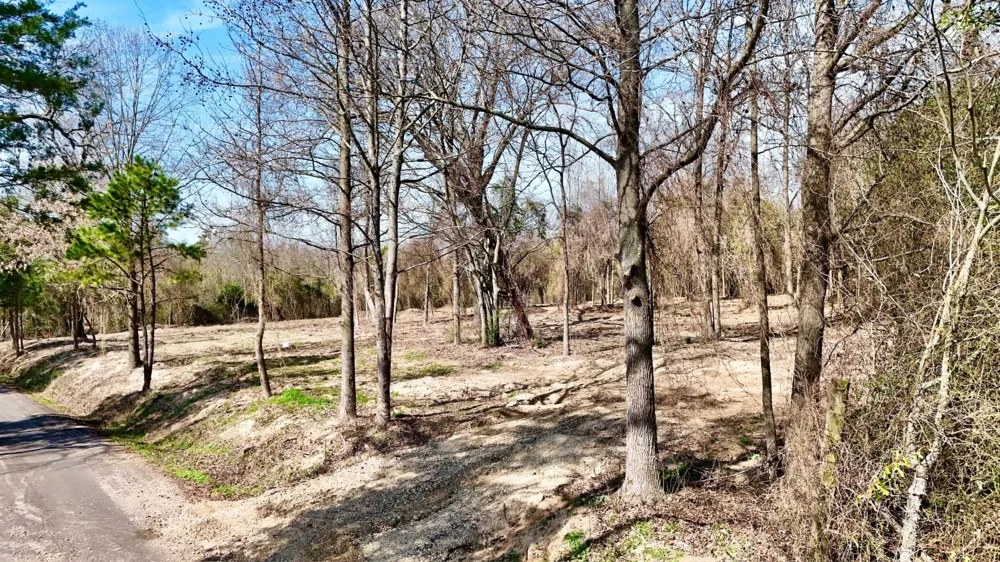 County Rd 3211 Pittsburg, TX 75686