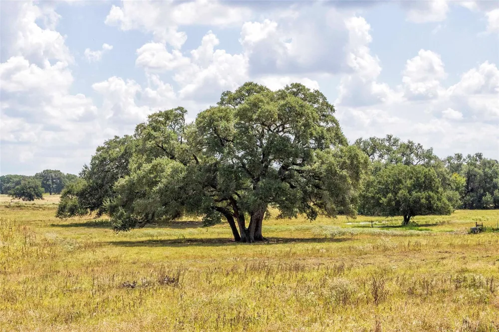265 Boulton Creek Road Flatonia, TX 78941