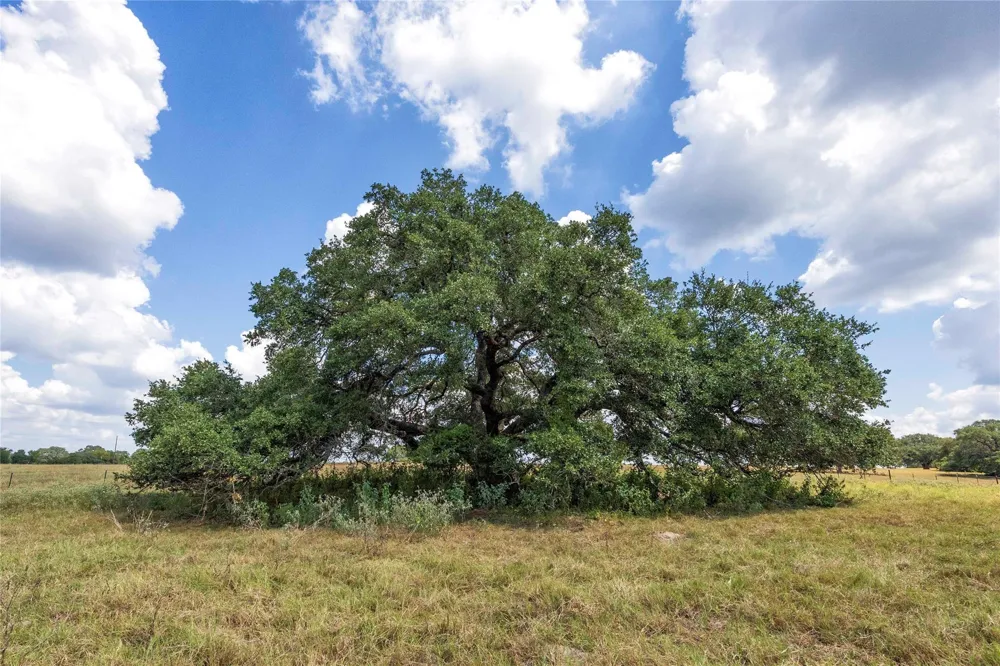 265 Boulton Creek Road Flatonia, TX 78941
