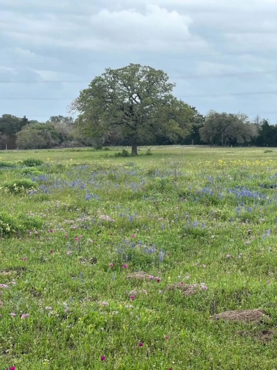 265 Boulton Creek Road Flatonia, TX 78941