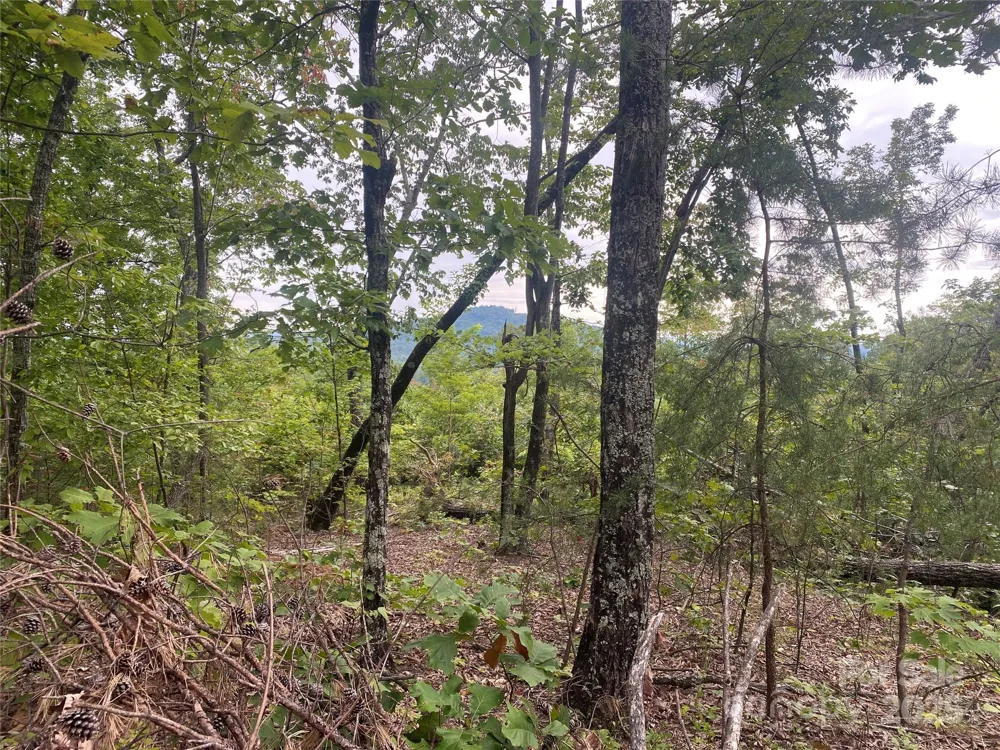 00 Springvalley Drive Union Mills, NC 28167