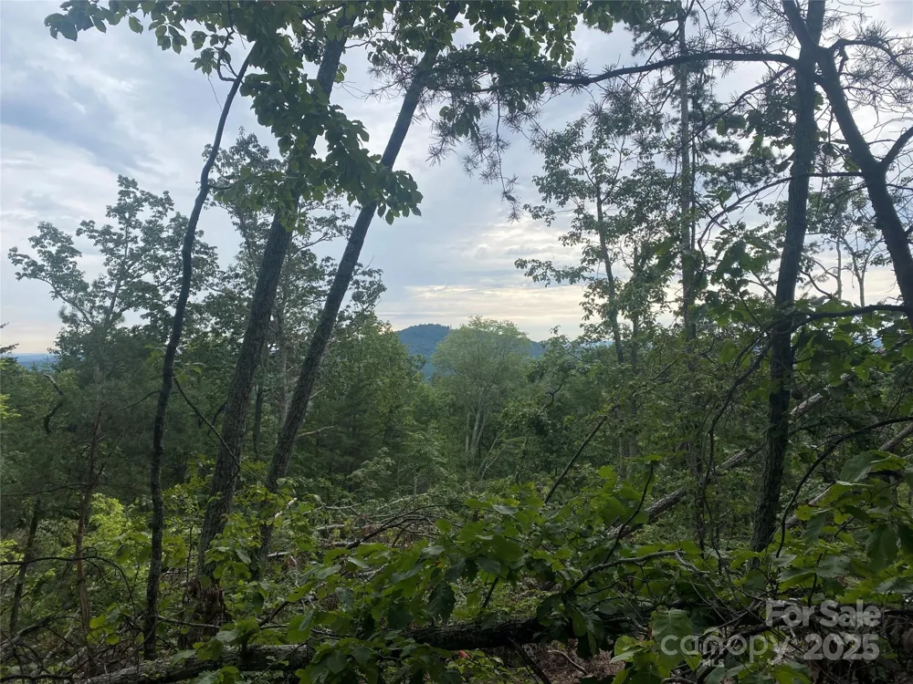 00 Springvalley Drive Union Mills, NC 28167