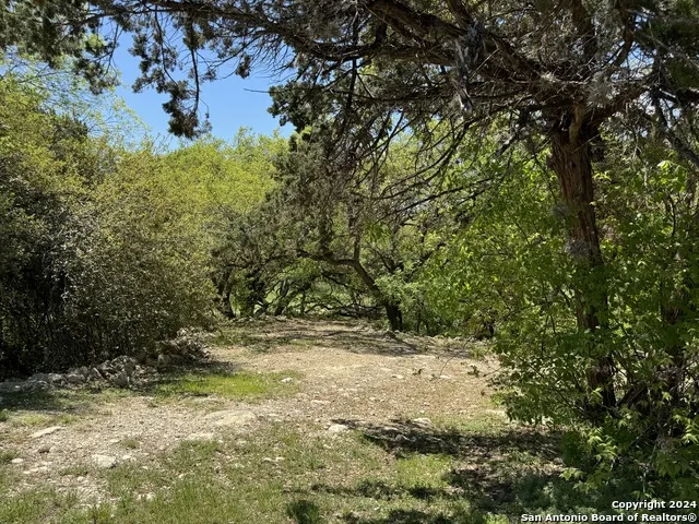 56 Eton Green Cir San Antonio, TX 78257