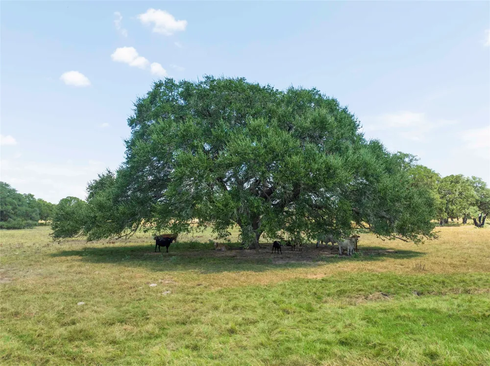 265 Boulton Creek Road Flatonia, TX 78941