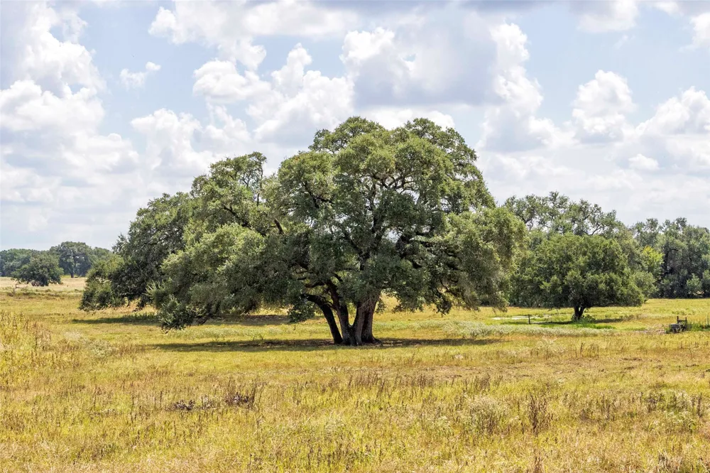 265 Boulton Creek Road Flatonia, TX 78941