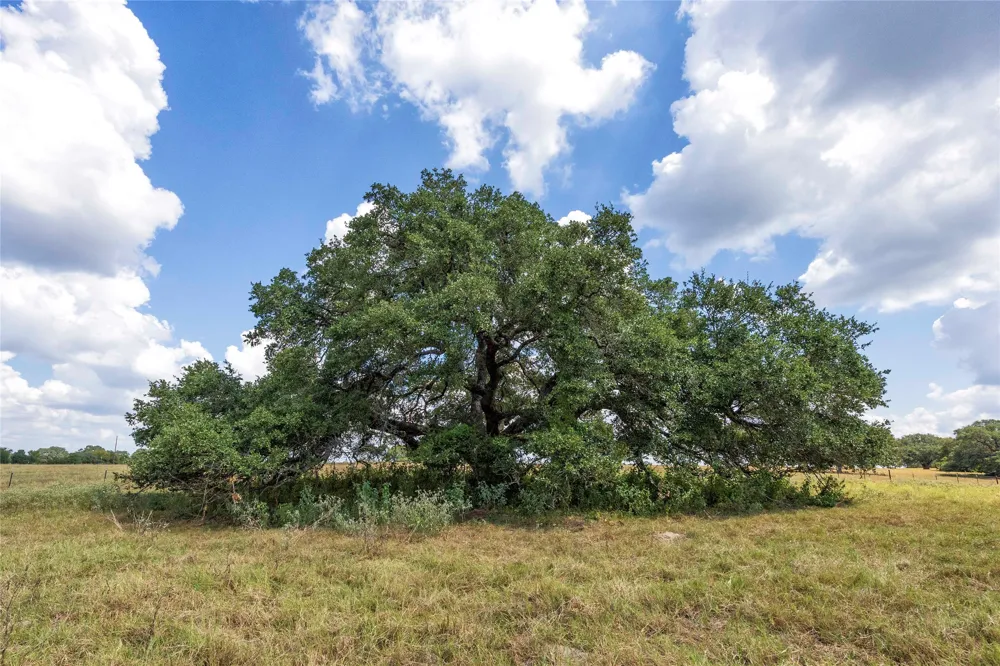265 Boulton Creek Road Flatonia, TX 78941
