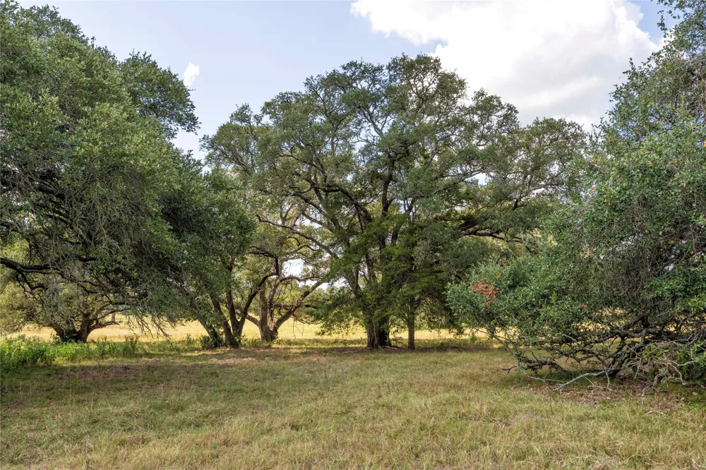 265 Boulton Creek Road Flatonia, TX 78941