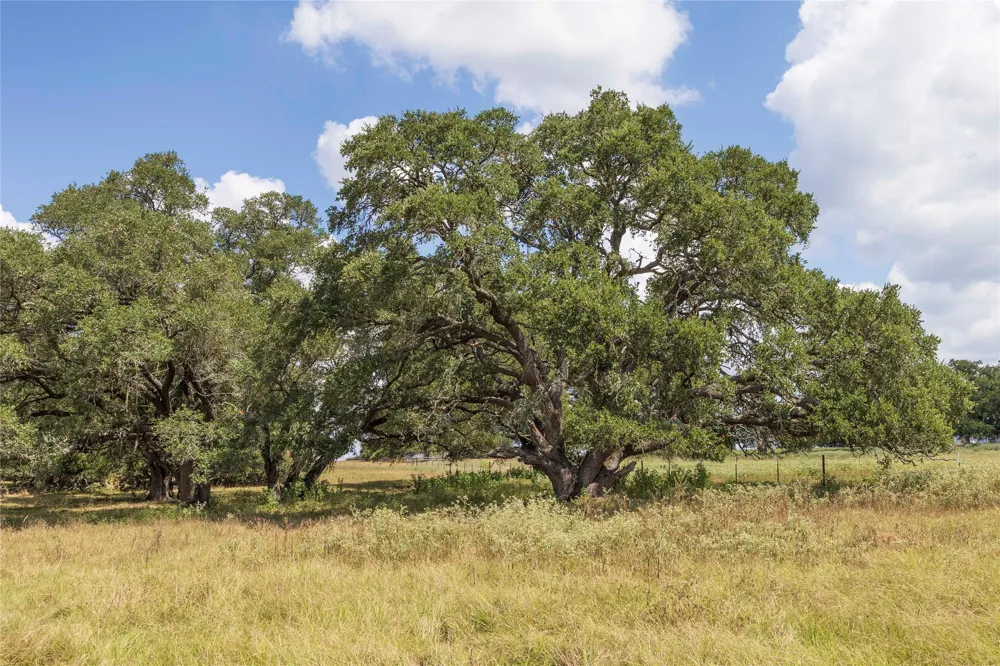 265 Boulton Creek Road Flatonia, TX 78941