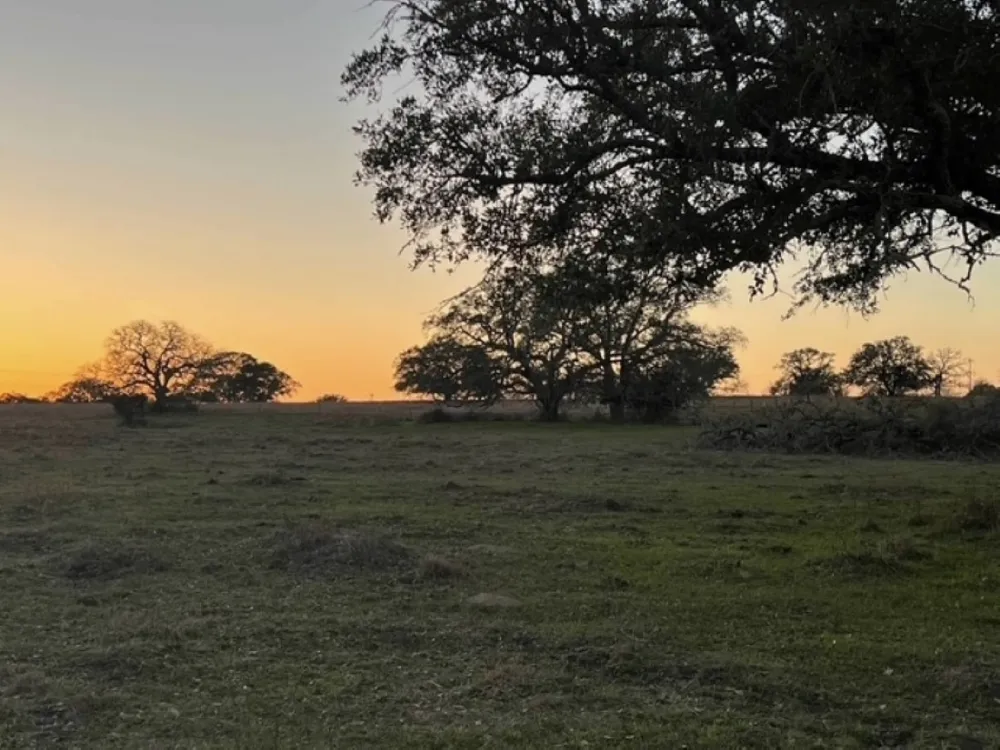 265 Boulton Creek Road Flatonia, TX 78941