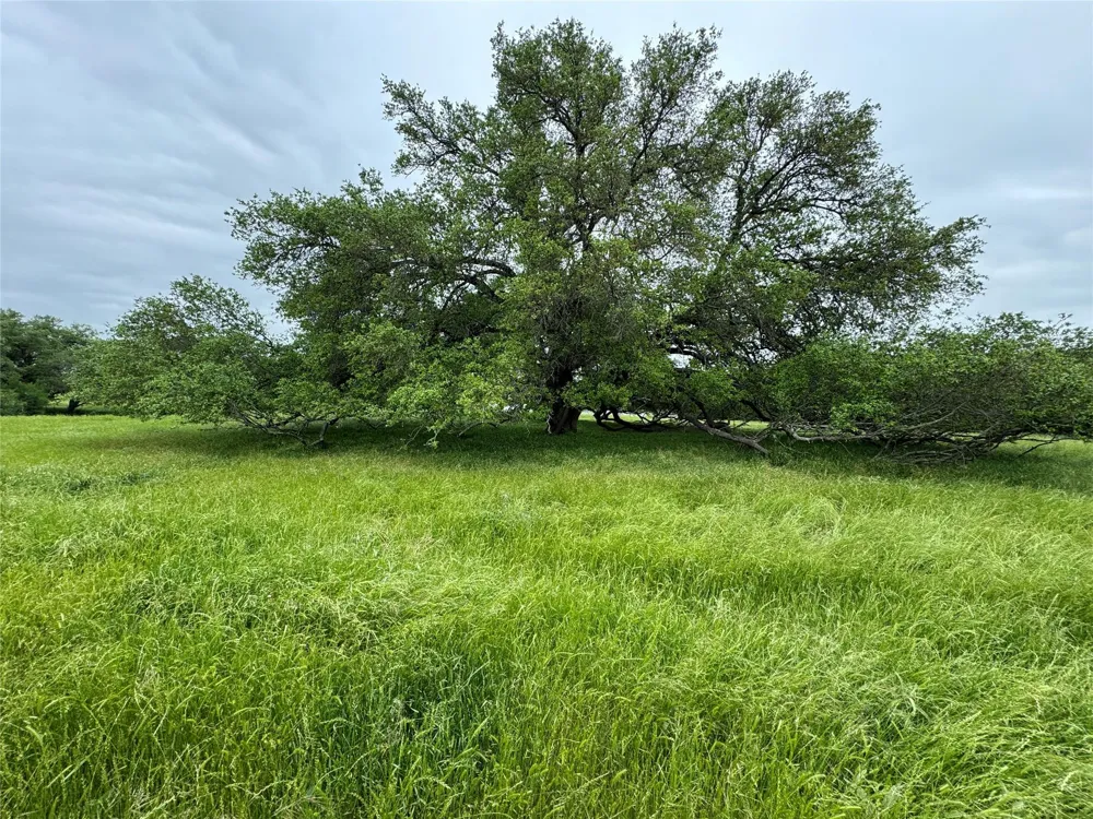 395 County Road 470 Lott, TX 76656