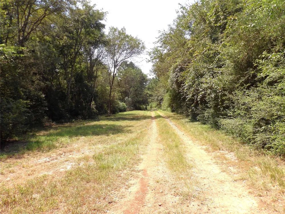 2399 Cr 1885 Grapeland, TX 75844