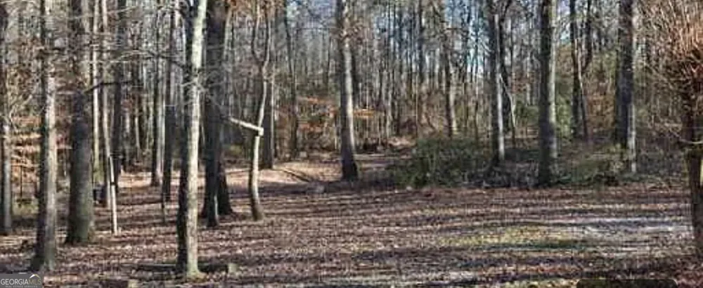 0 Hwy 124 Hoschton, GA 30548
