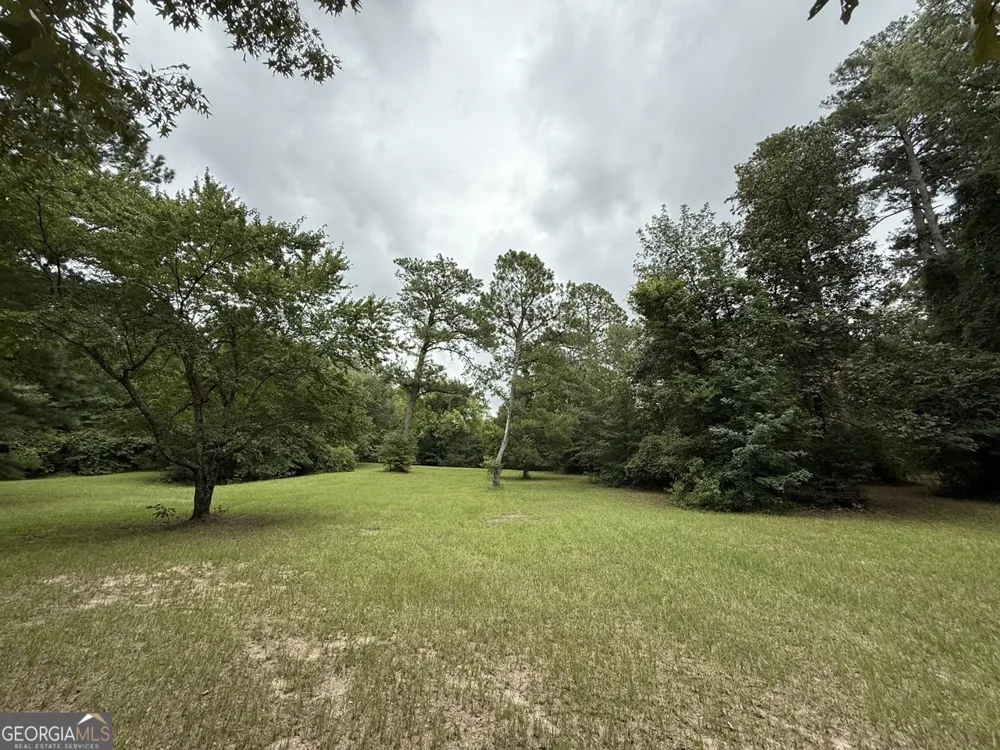 2251 Boy scout RD Byron, GA 31008