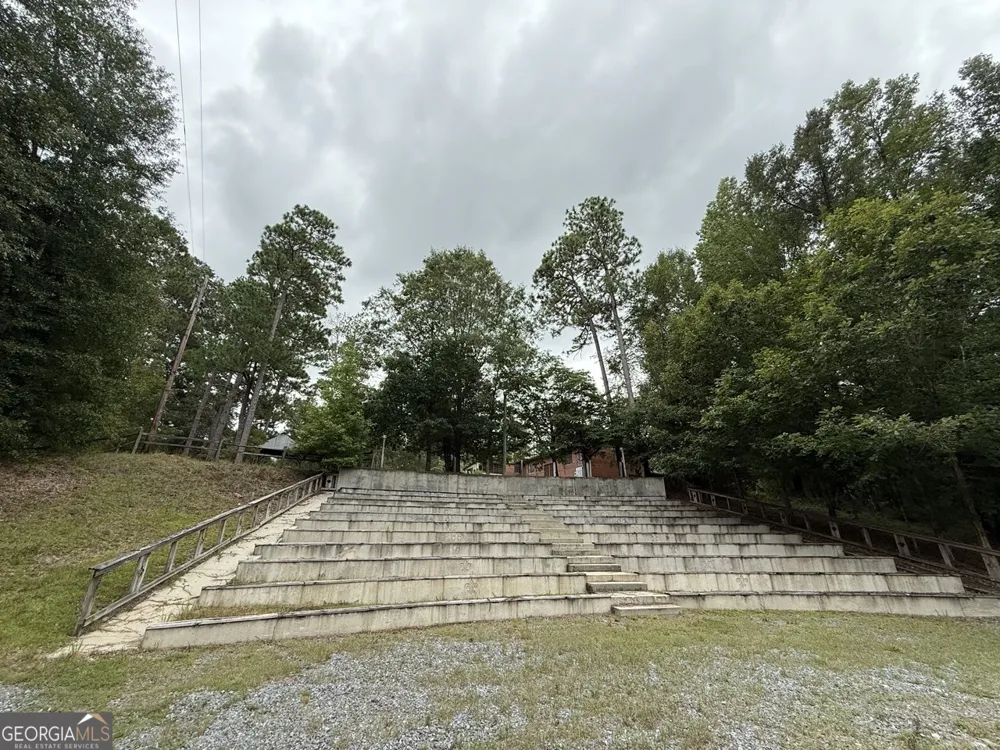 2251 Boy scout RD Byron, GA 31008