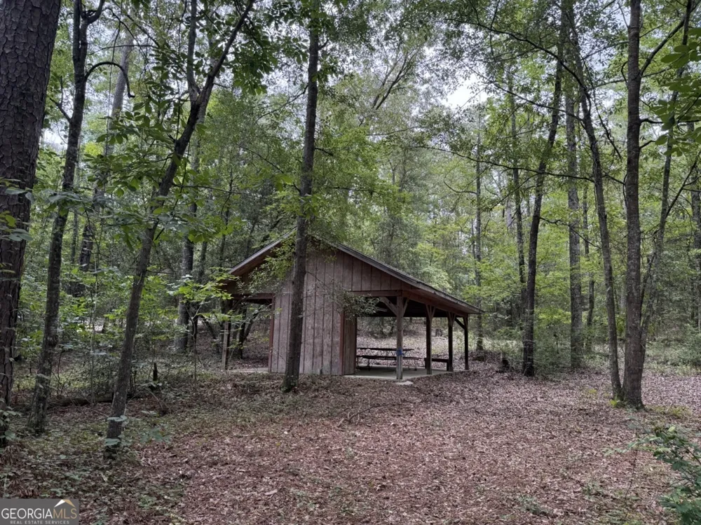 2251 Boy scout RD Byron, GA 31008