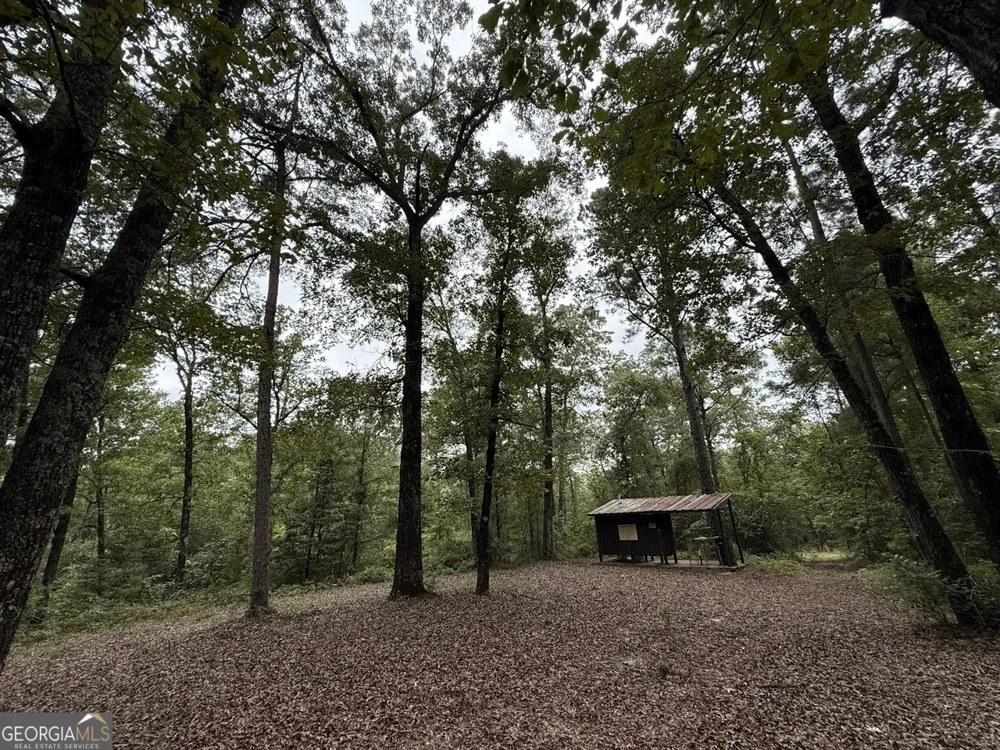 2251 Boy scout RD Byron, GA 31008