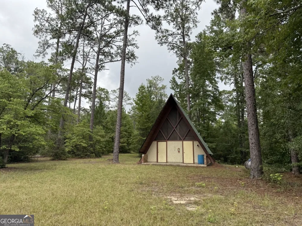 2251 Boy scout RD Byron, GA 31008