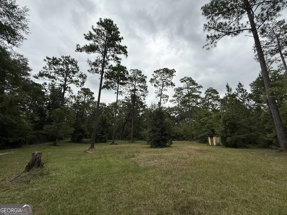 2251 Boy scout RD Byron, GA 31008