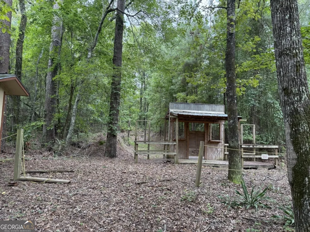 2251 Boy scout RD Byron, GA 31008