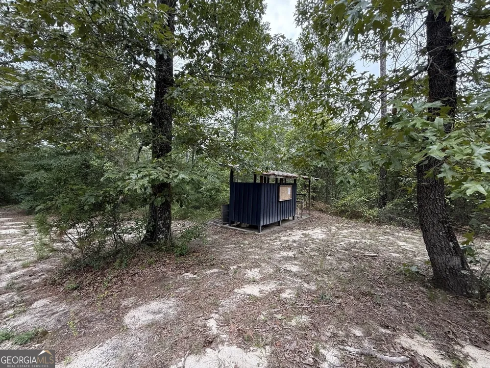 2251 Boy scout RD Byron, GA 31008