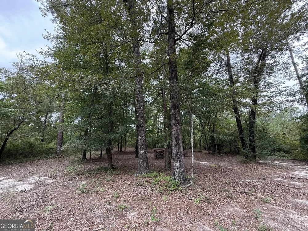 2251 Boy scout RD Byron, GA 31008