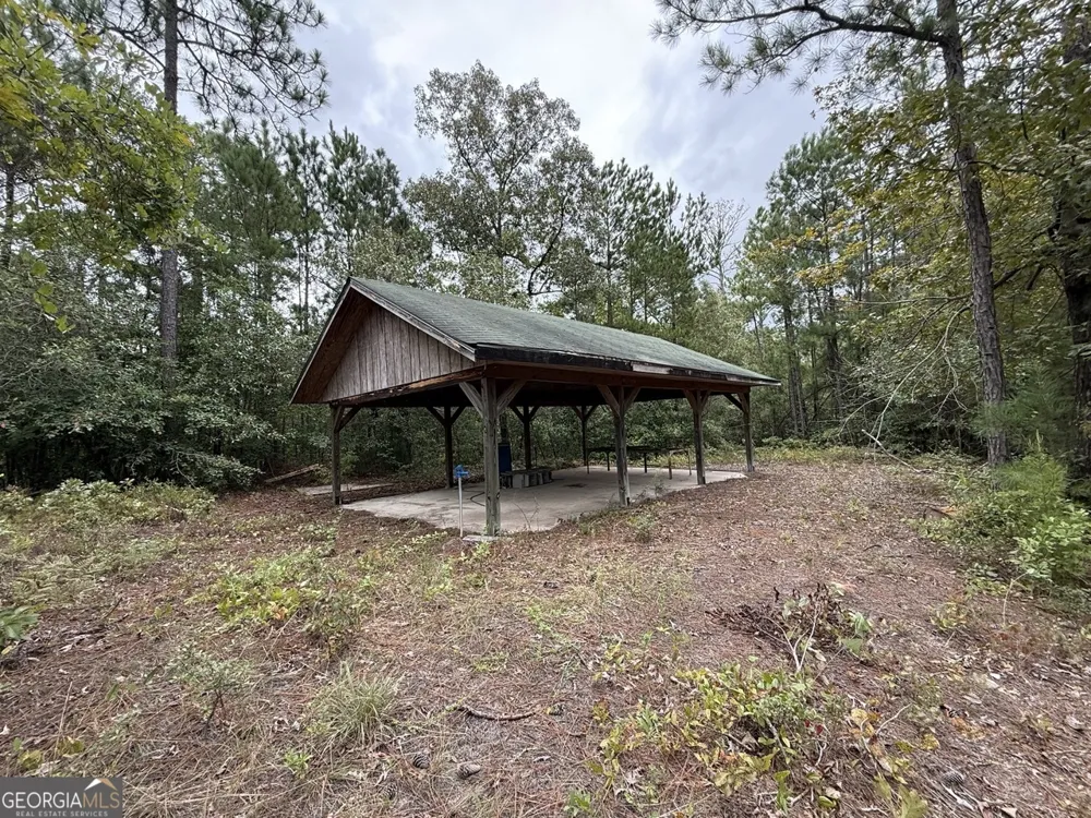 2251 Boy scout RD Byron, GA 31008
