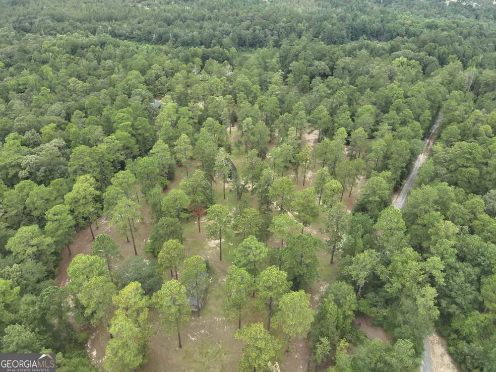 2251 Boy scout RD Byron, GA 31008