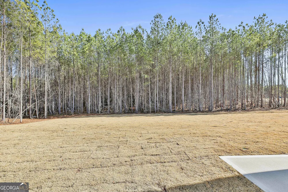 16 Nelson WAY Williamson, GA 30292