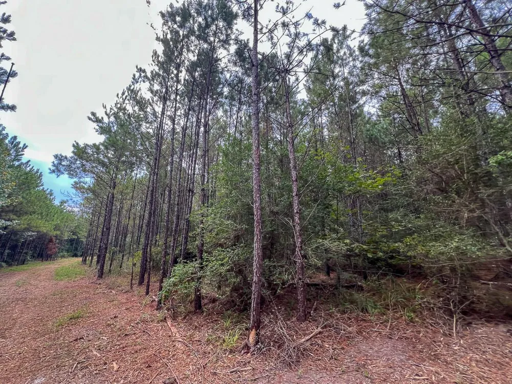 2 Fm 1987 Corrigan, TX 77351