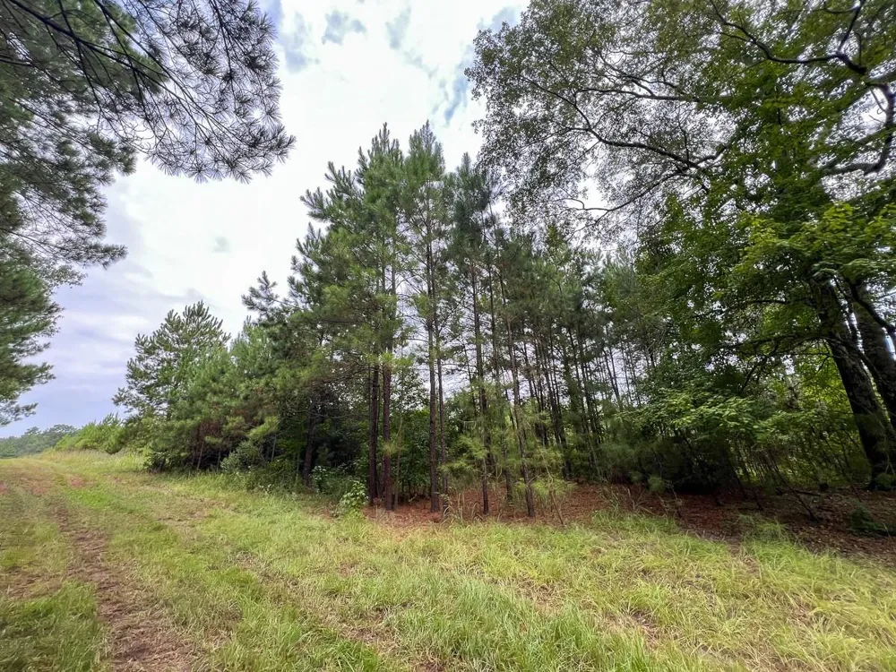 2 Fm 1987 Corrigan, TX 77351