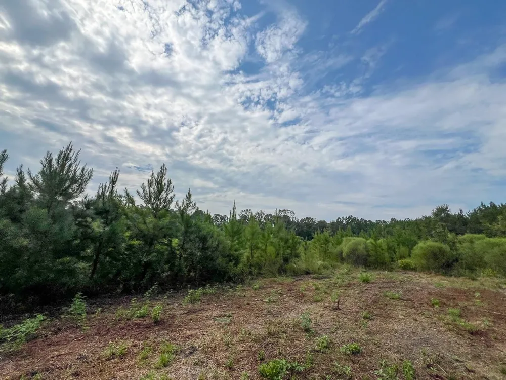 3 Fm 1987 Corrigan, TX 77351