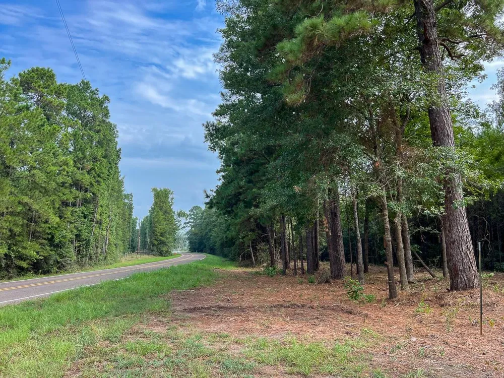3 Fm 1987 Corrigan, TX 77351