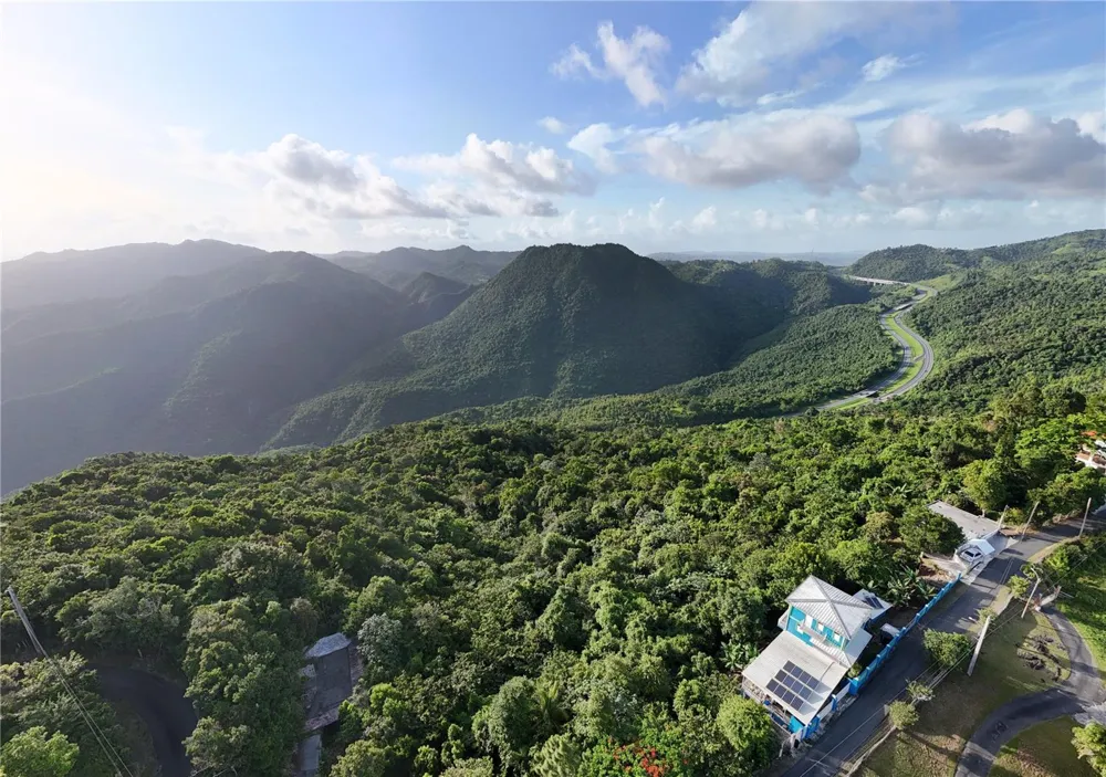PR-715 KM 5.7 INT CERCADILLO Cayey, PR 00736