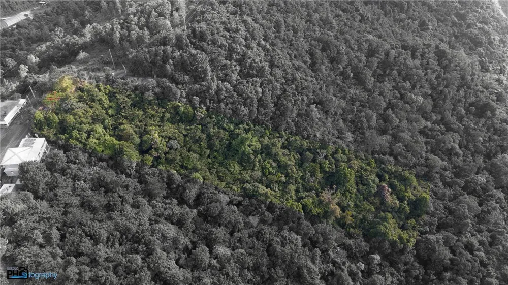 PR-715 KM 5.7 INT CERCADILLO Cayey, PR 00736