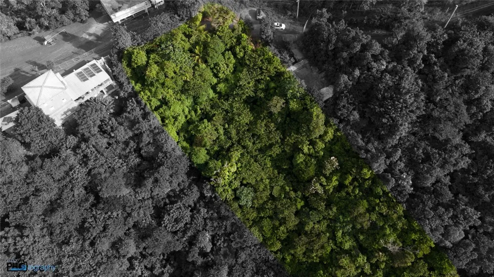 PR-715 KM 5.7 INT CERCADILLO Cayey, PR 00736