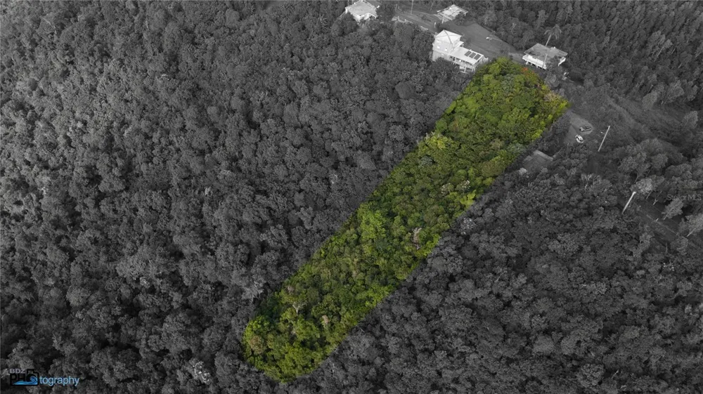 PR-715 KM 5.7 INT CERCADILLO Cayey, PR 00736