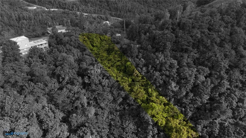 PR-715 KM 5.7 INT CERCADILLO Cayey, PR 00736
