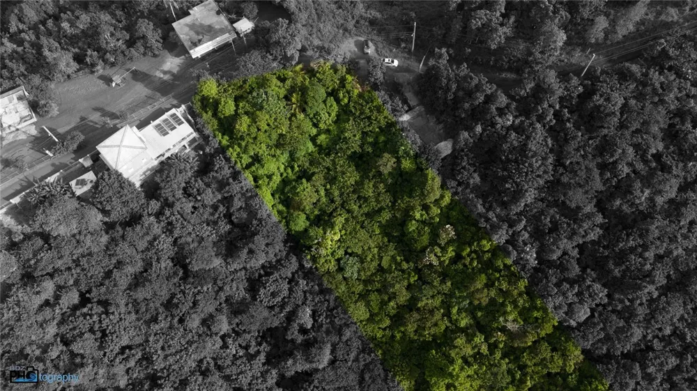 PR-715 KM 5.7 INT CERCADILLO Cayey, PR 00736