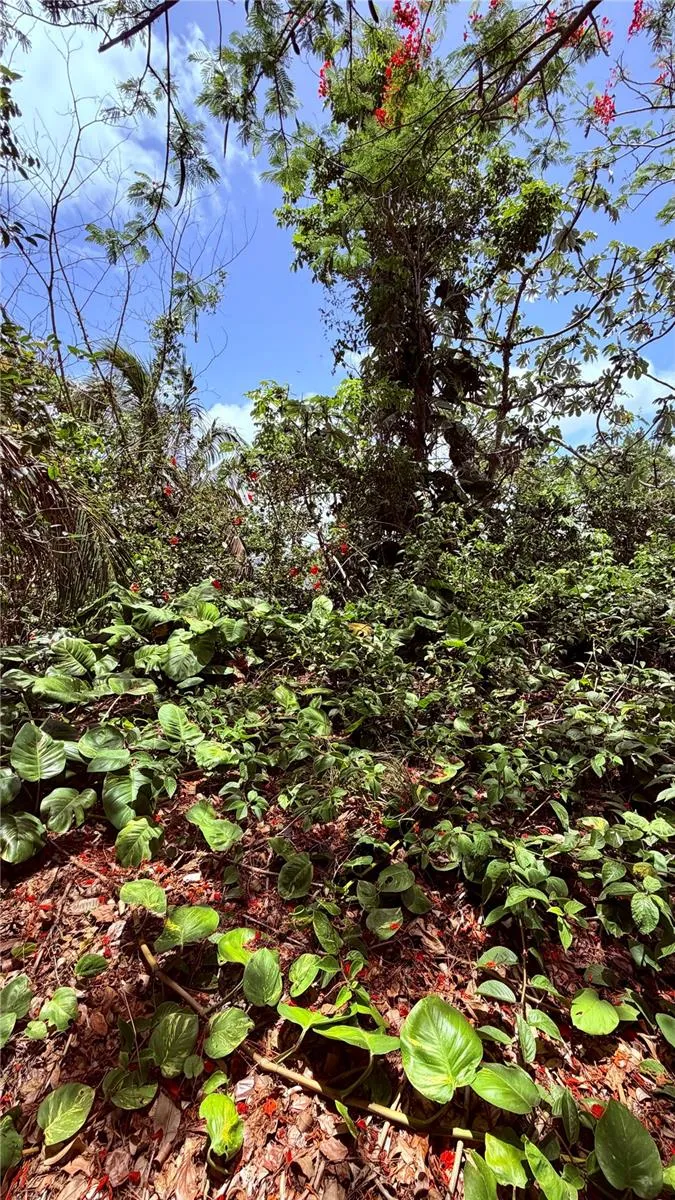 PR-715 KM 5.7 INT CERCADILLO Cayey, PR 00736