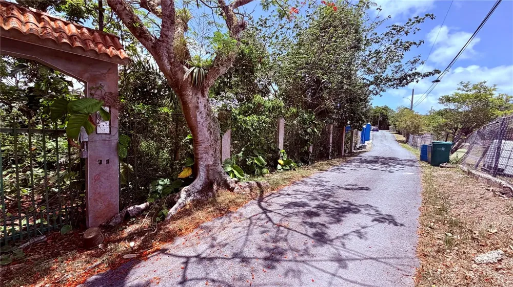 PR-715 KM 5.7 INT CERCADILLO Cayey, PR 00736