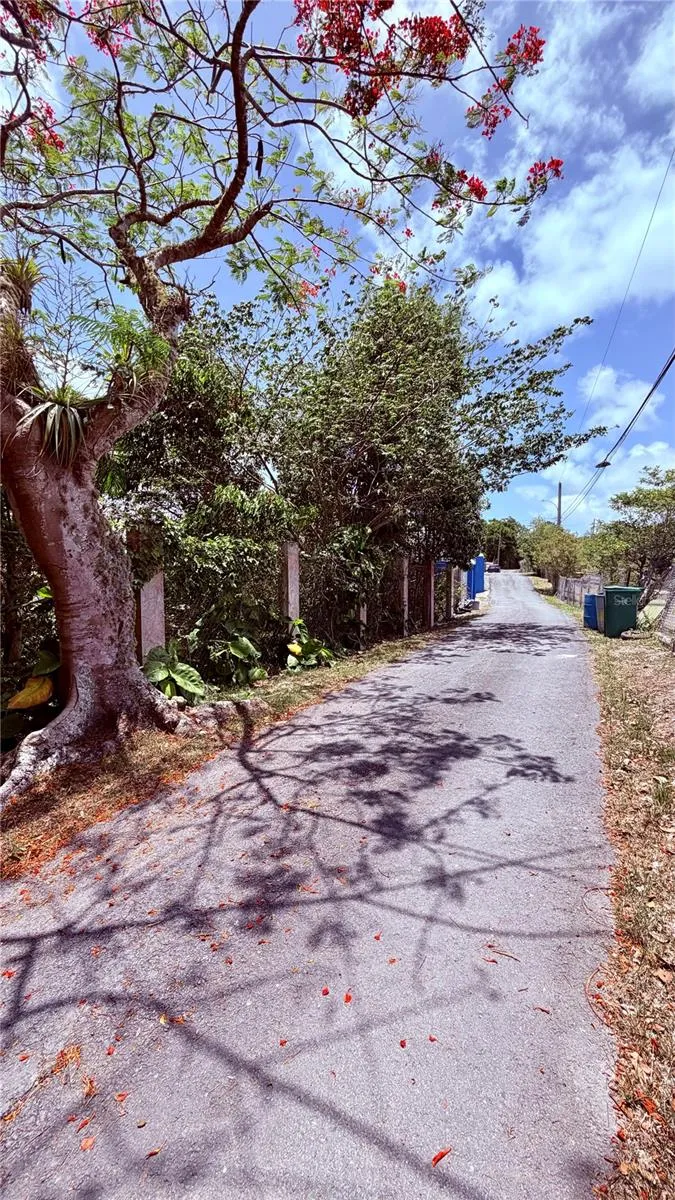 PR-715 KM 5.7 INT CERCADILLO Cayey, PR 00736