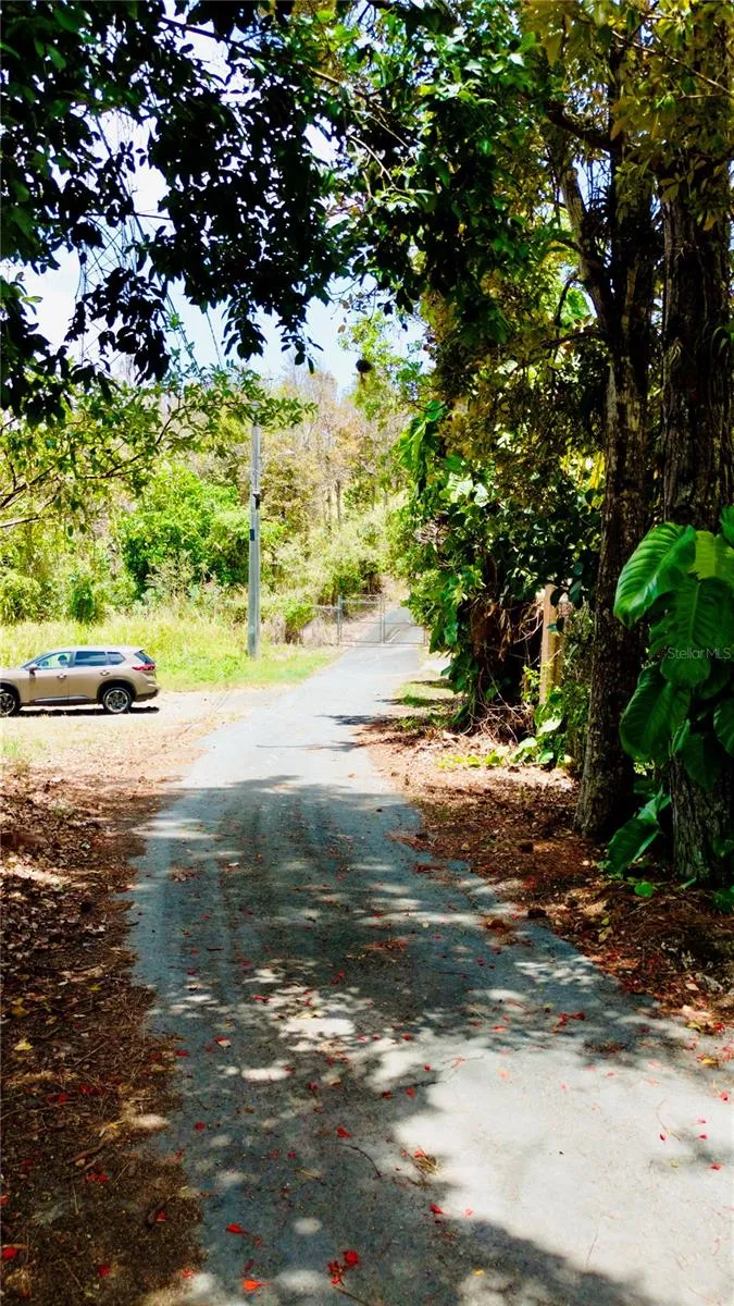 PR-715 KM 5.7 INT CERCADILLO Cayey, PR 00736