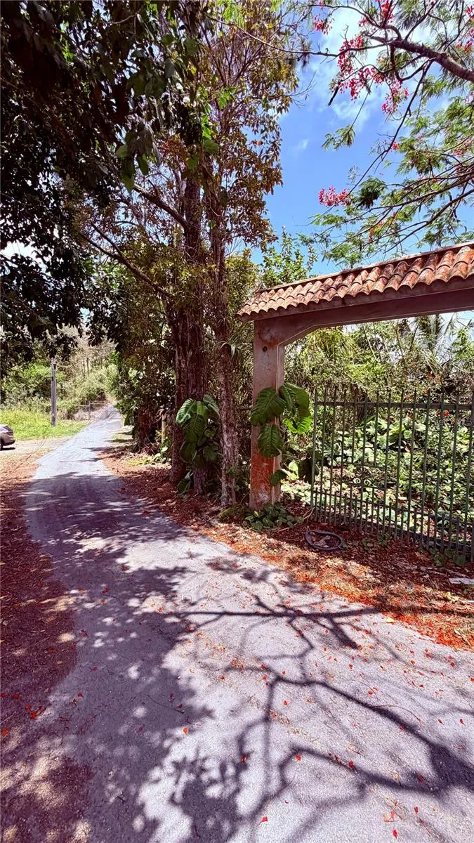 PR-715 KM 5.7 INT CERCADILLO Cayey, PR 00736