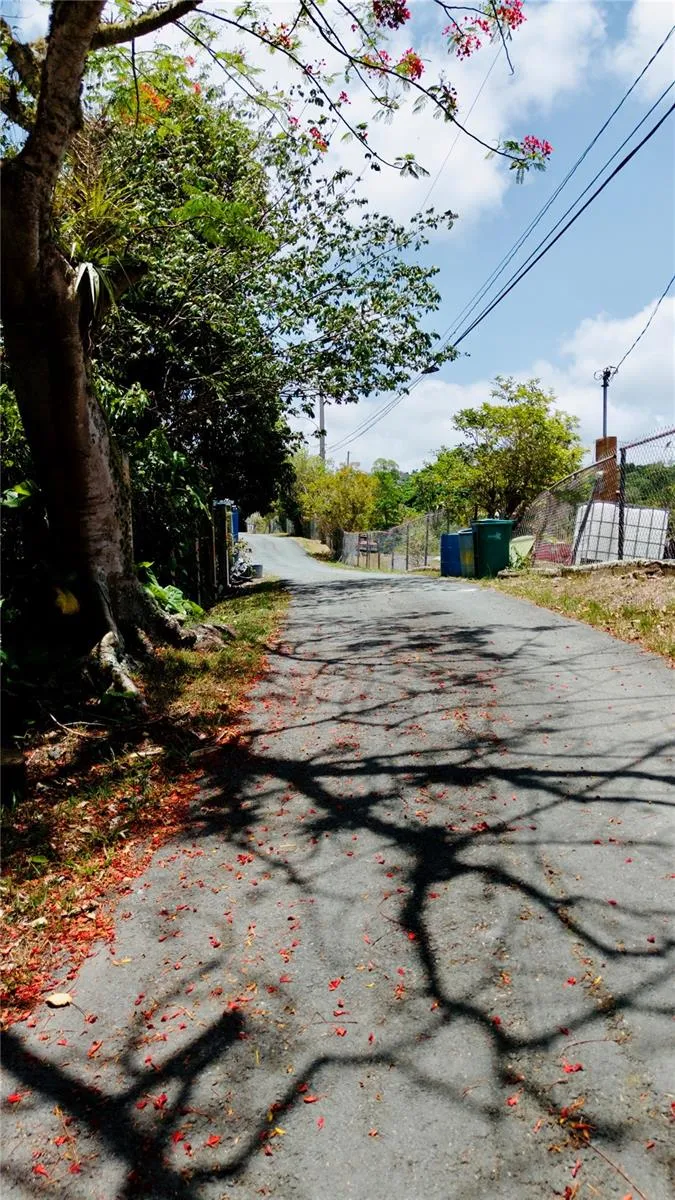 PR-715 KM 5.7 INT CERCADILLO Cayey, PR 00736