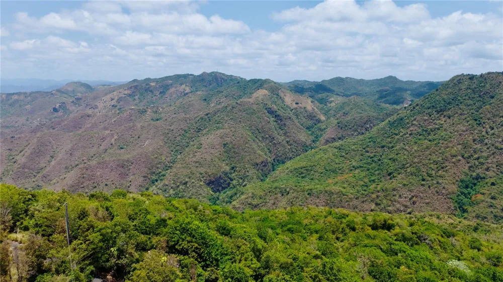 PR-715 KM 5.7 INT CERCADILLO Cayey, PR 00736