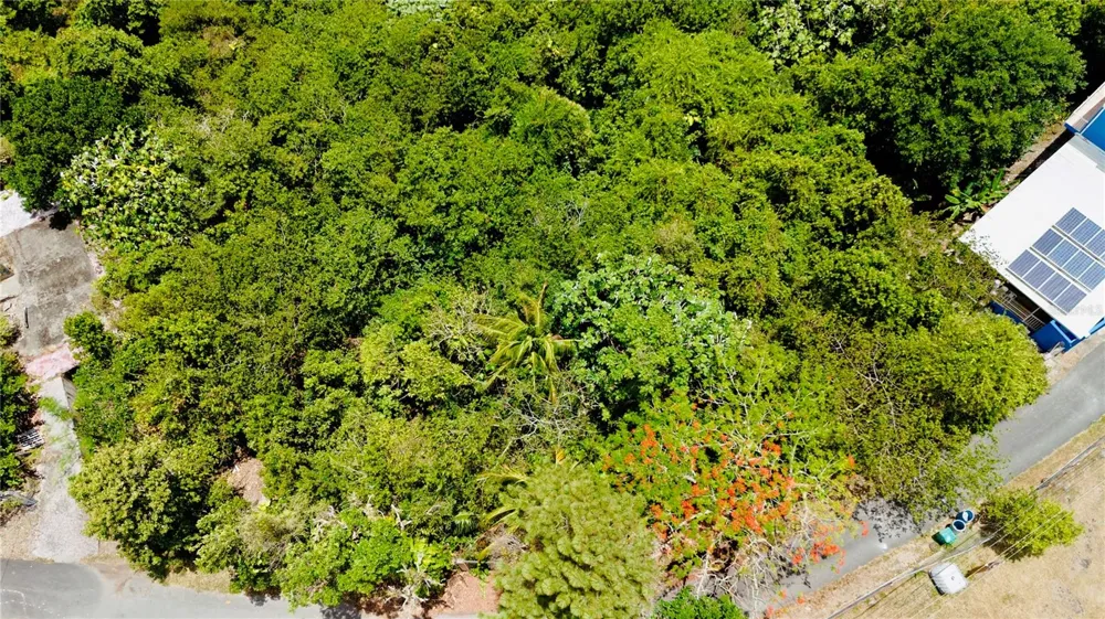 PR-715 KM 5.7 INT CERCADILLO Cayey, PR 00736