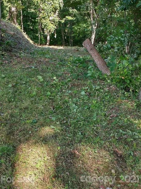375 Buck Drive Hot Springs, NC 28743